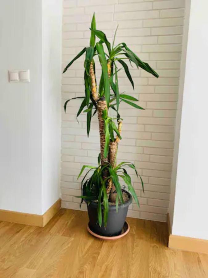 Puerto Banus Apartament Marbella