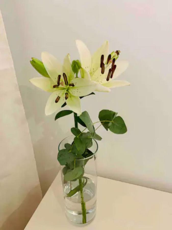 Puerto Banus Apartament Marbella